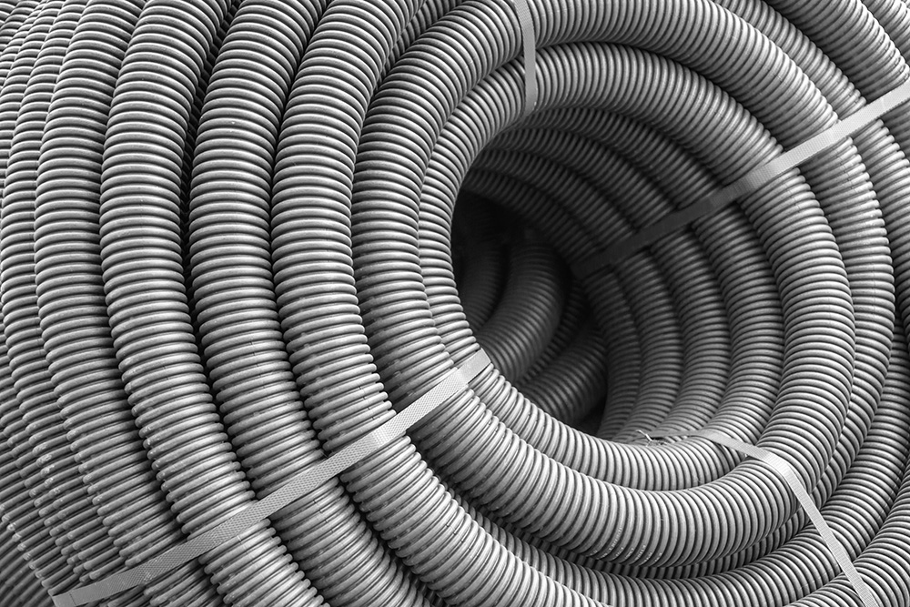 Detail chranicky